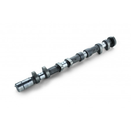 CAMSHAFT PONCAM G4KF IN 262-10.30