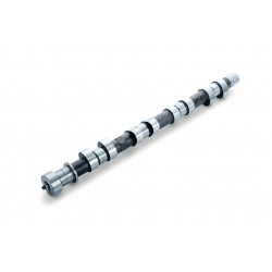 CAMSHAFT PONCAM 4G63 EVO4-6 EX 272-10.20